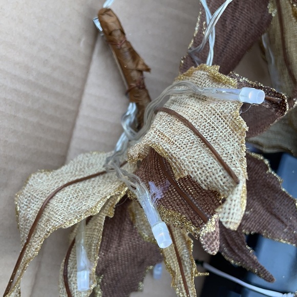 Kringle Express Poinsettia Light Strand - Picture 2 of 8